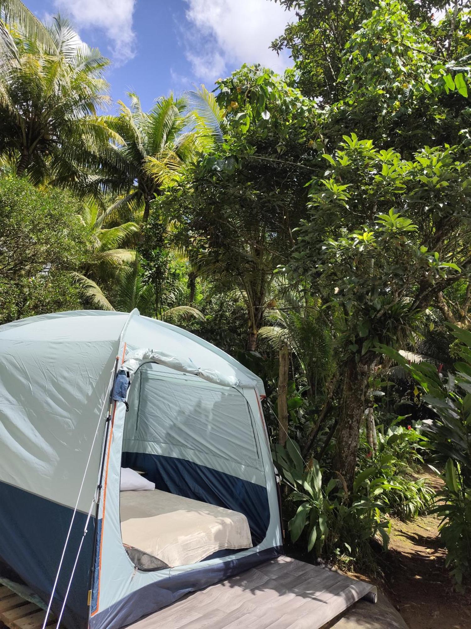 Camping A La Ferme Gros-Morne Exterior photo